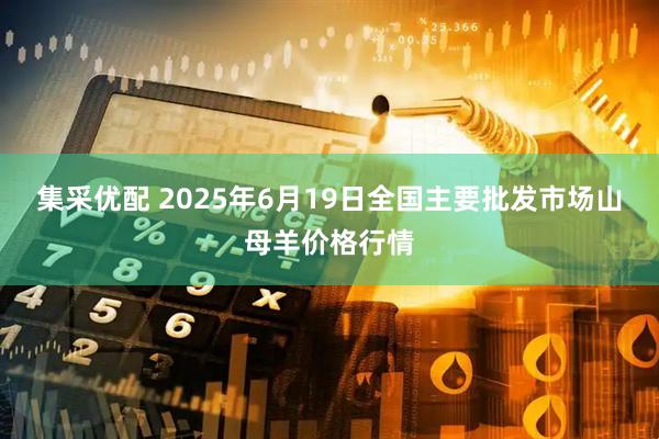 集采优配 2025年6月19日全国主要批发市场山母羊价格行情
