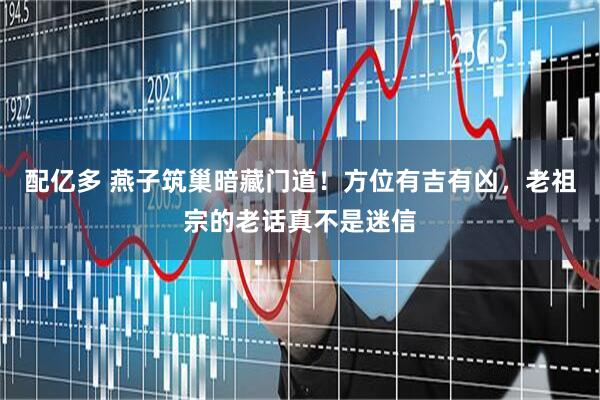 配亿多 燕子筑巢暗藏门道！方位有吉有凶，老祖宗的老话真不是迷信